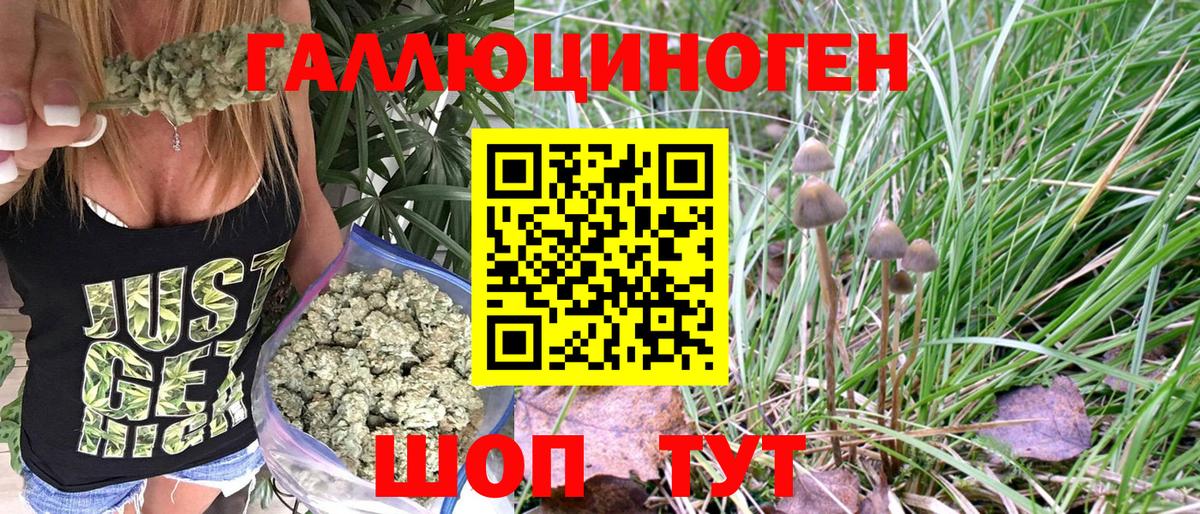 Галлюциногенные грибы MAGIC MUSHROOMS Березники