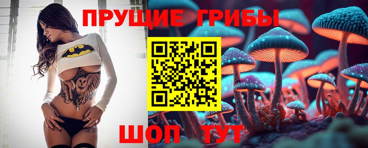 Березники  Галлюциногенные грибы Cubensis  Вход с VPN 